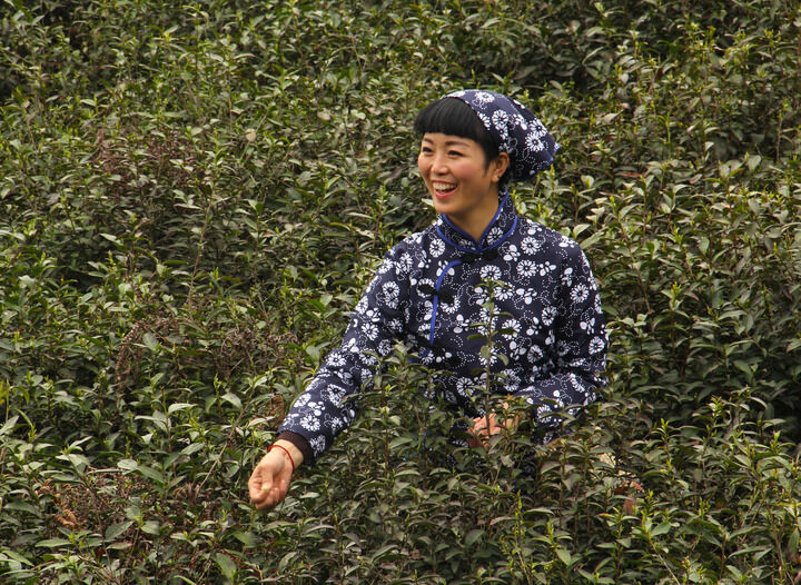 热门影视2